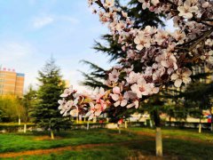 学校风采